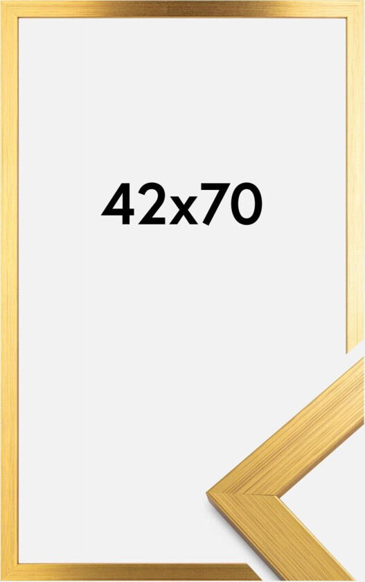 Ramme Gold Wood Akrylglass 42x70 Cm