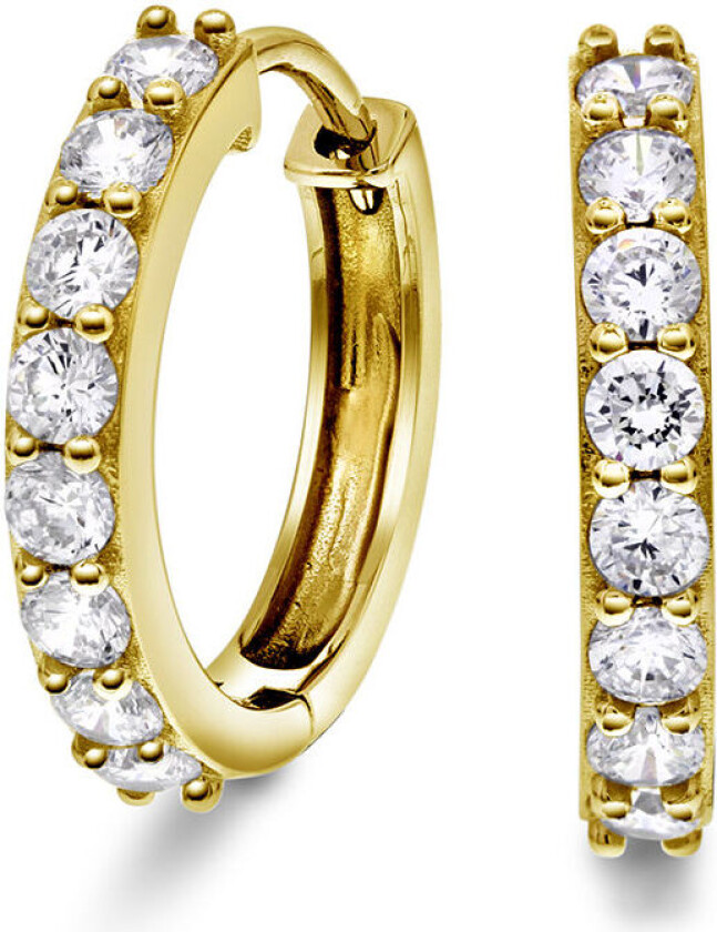 , Øreringer i 925 forgylt sølv med zirkonia