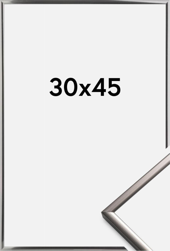 Ramme New Lifestyle Stål - 30x45 Cm