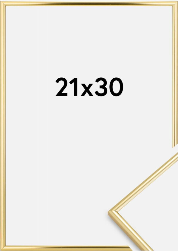 Focus Ramme Can-Can Gull 21x30 Cm