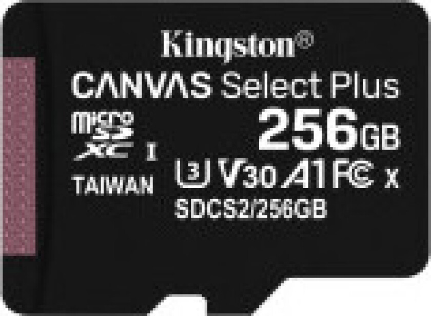 Canvas MicroSD 256GB