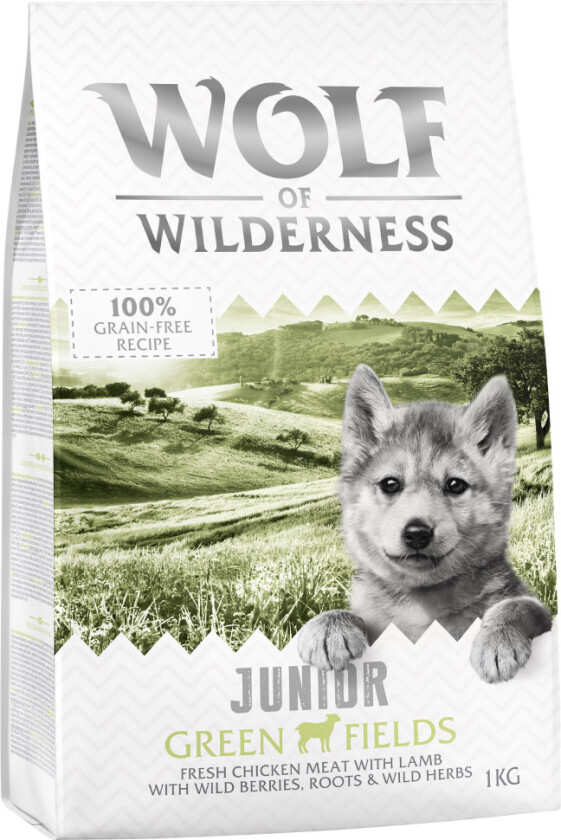 1 kg Wolf of Wilderness hundefôr til spesialpris! - JUNIOR Green Fields - Lam