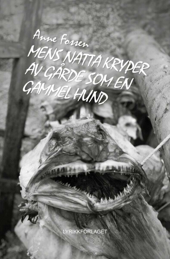 Mens natta kryper av gårde som en gammel hund av Anne Fossen