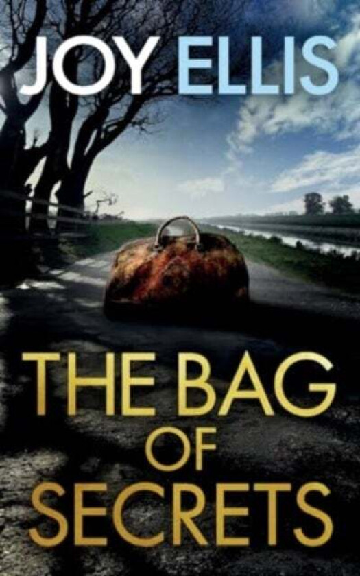 THE BAG OF SECRETS a gripping crime thriller with a huge twist av Joy Ellis