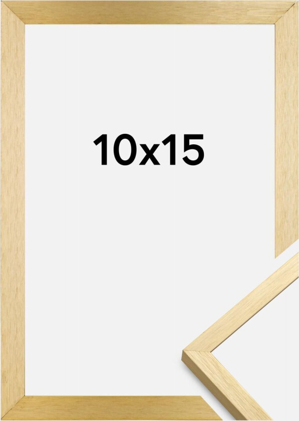 Ramme Chair Gull 10x15 Cm