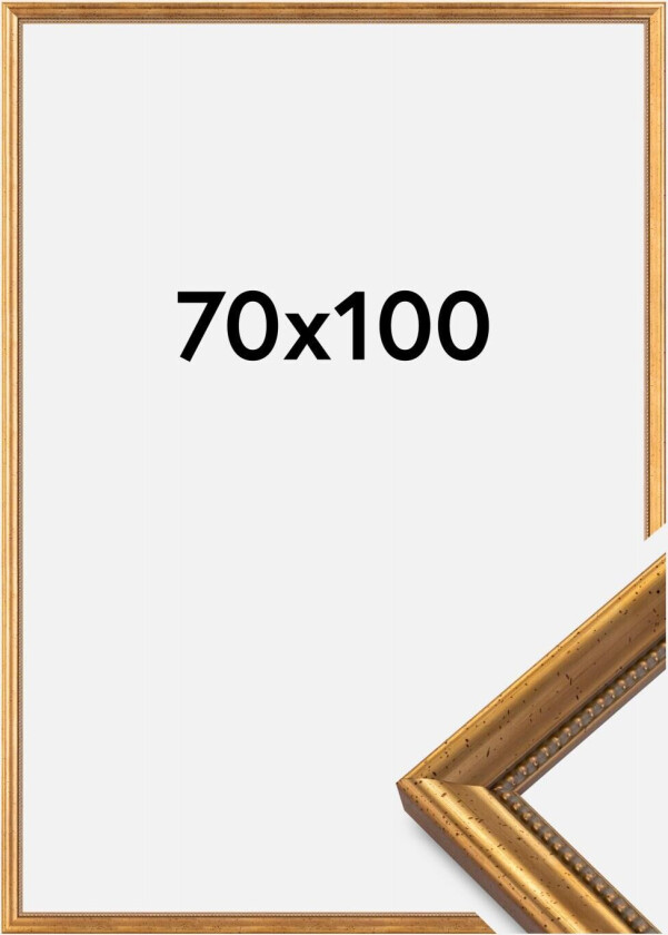 Ramme Delighted 70x100 Cm