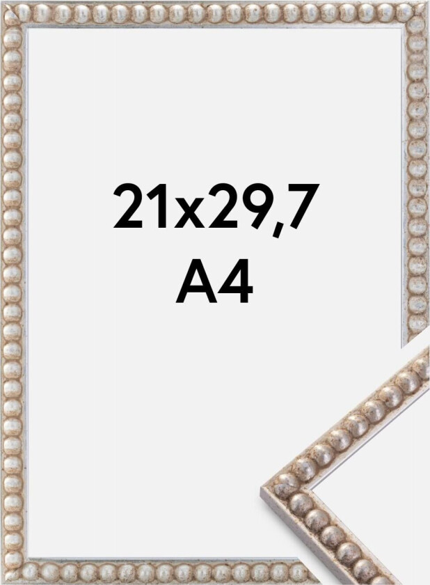 Ramme Sylvia Sølv 21x29,7 Cm (A4)