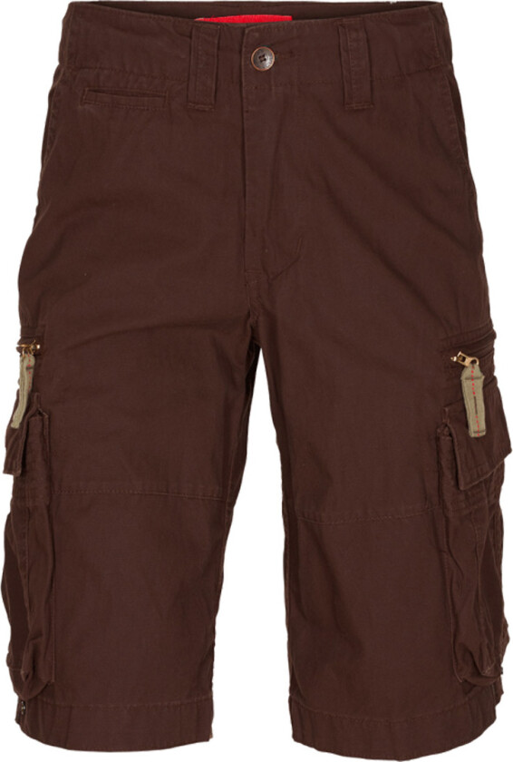 Molecule Cruisers Shorts Brown
