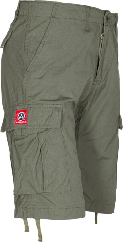 Molecule Featherweights Shorts Olive