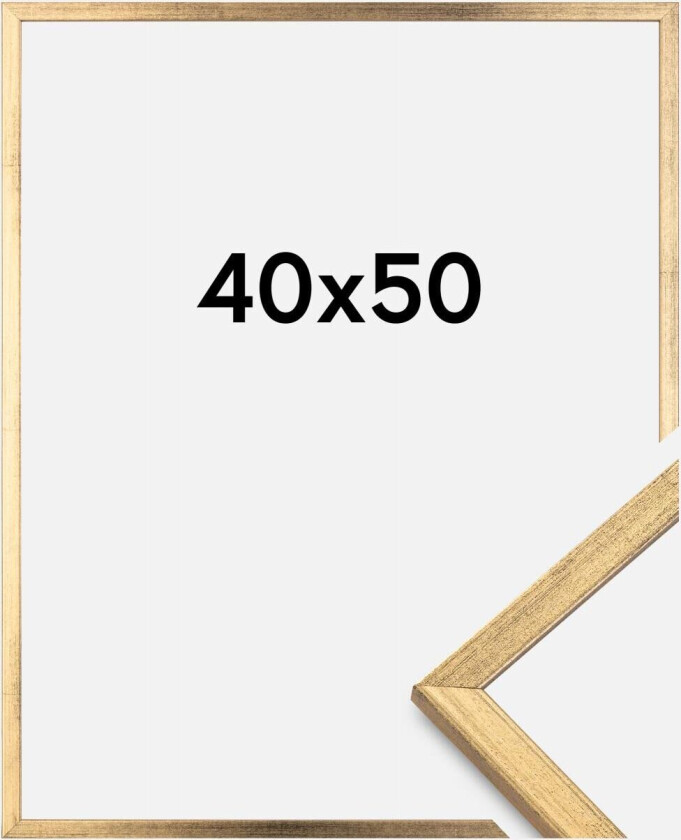 Ramme Galant Gull 40x50 Cm