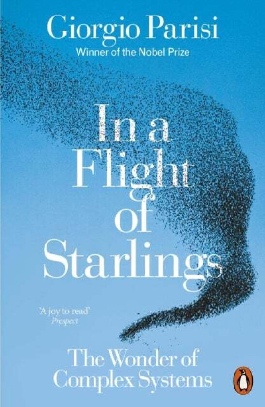 In a Flight of Starlings av Giorgio Parisi