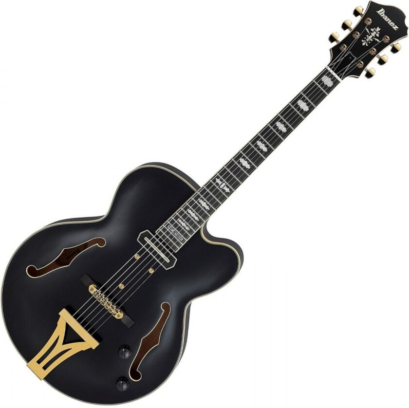 Pat Metheny Signature Black