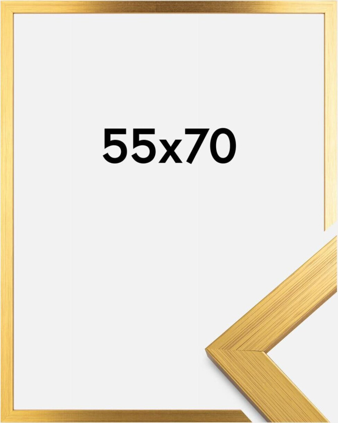 Ramme Gold Wood Akrylglass 55x70 Cm