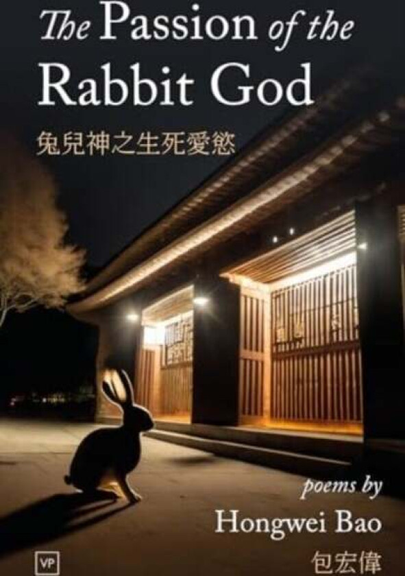 The Passion of the Rabbit God av Hongwei Bao