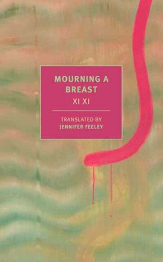 Mourning a Breast av Xi Xi, Jennifer Feeley
