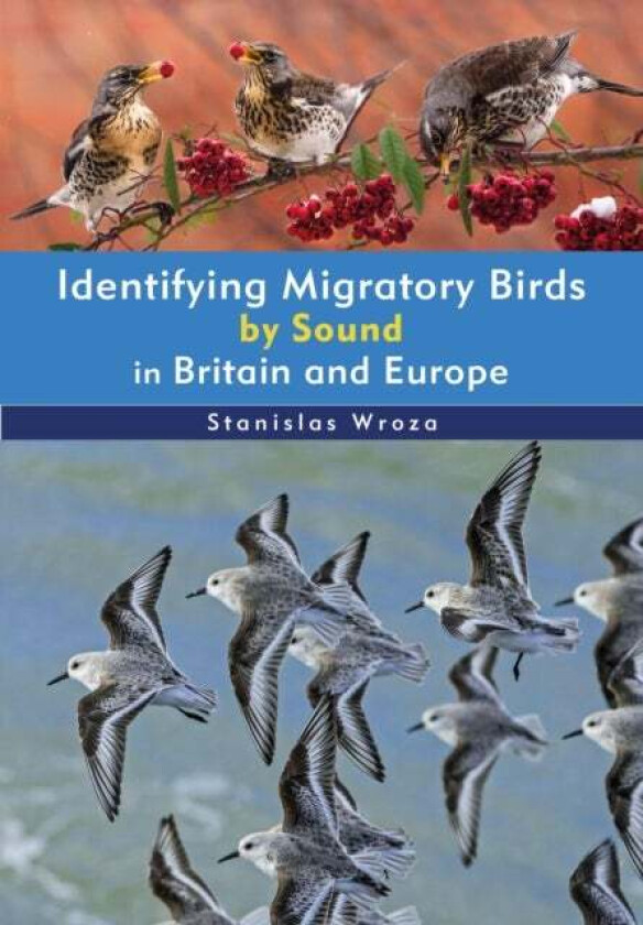 Identifying Migratory Birds by Sound in Britain and Europe av Stanislas Wroza
