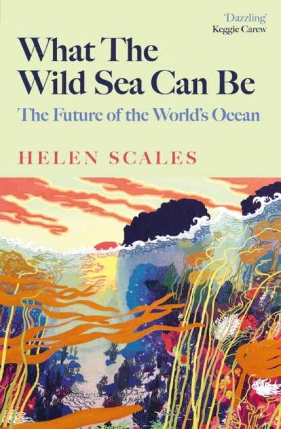 What the Wild Sea Can Be av Helen Scales