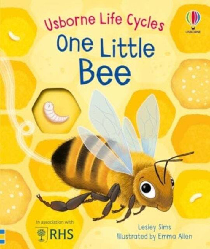 One Little Bee av Lesley Sims