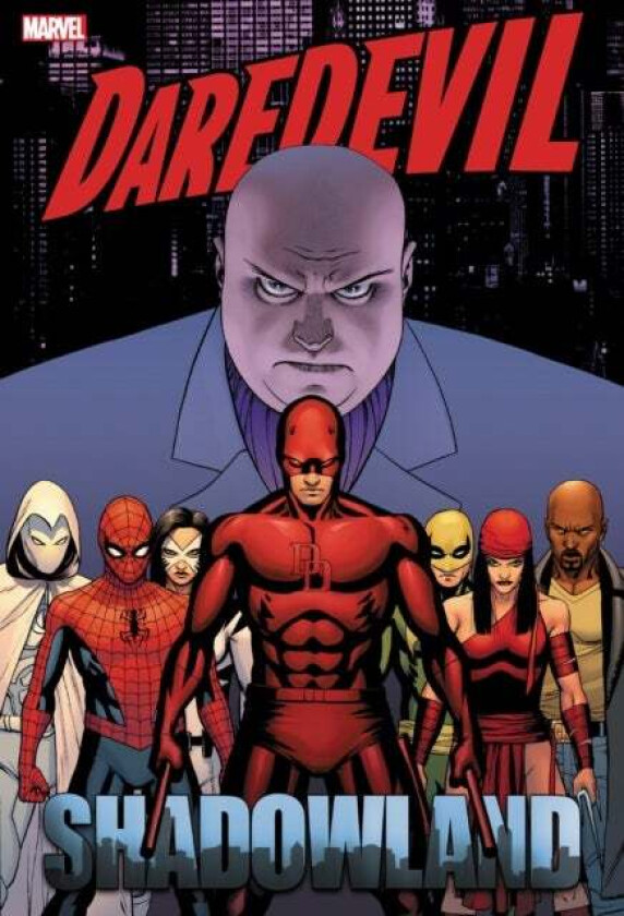 Daredevil: Shadowland Omnibus Cassaday Cover (New Printing) av Andy Diggle, Antony Johnston, Zeb Wells