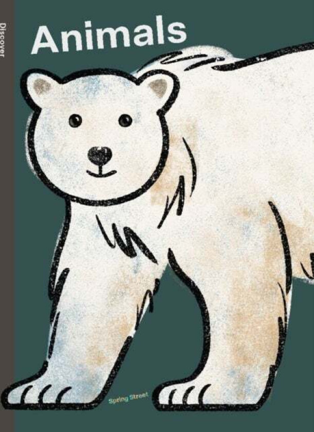 Spring Street Discover: Animals av Boxer Books