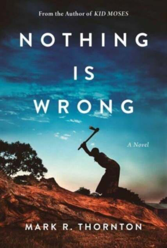 Nothing Is Wrong av Mark R. Thornton