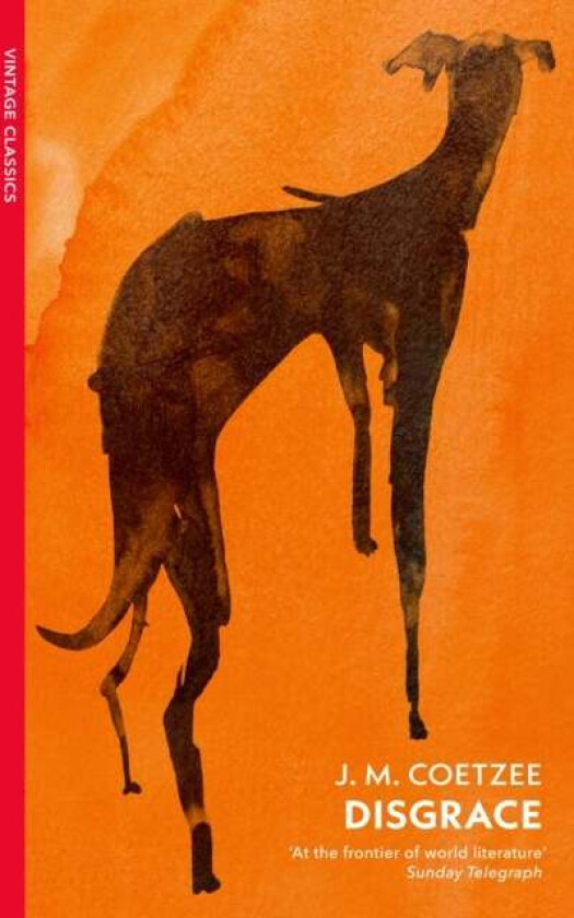 Disgrace av J.M. Coetzee