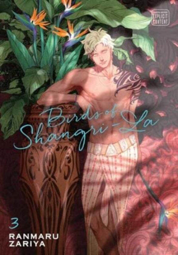 Birds of Shangri-La, Vol. 3 av Ranmaru Zariya