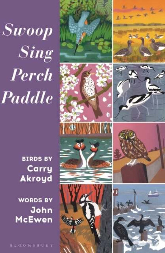 Swoop, Sing, Perch, Paddle av Carry Akroyd, John McEwen