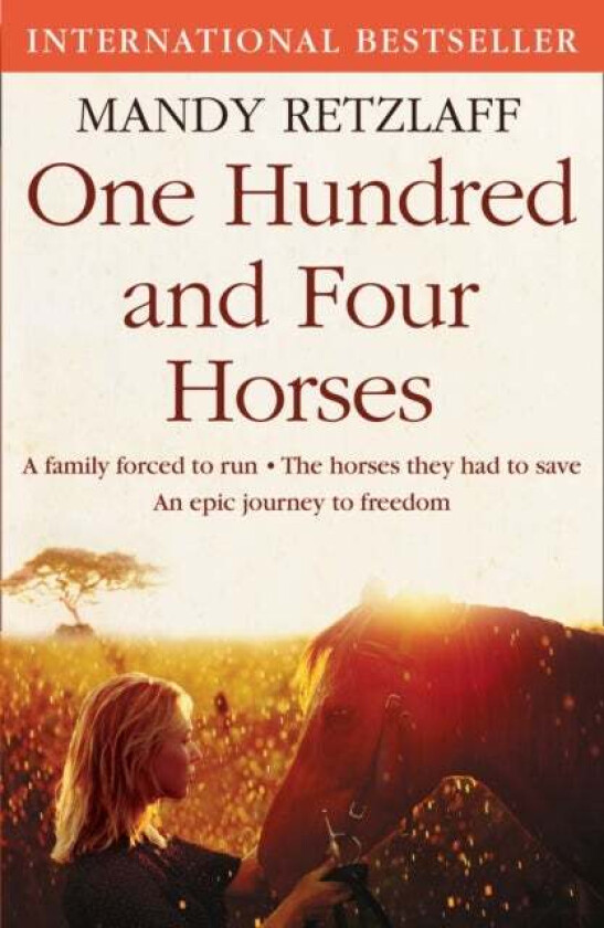 One Hundred and Four Horses av Mandy Retzlaff