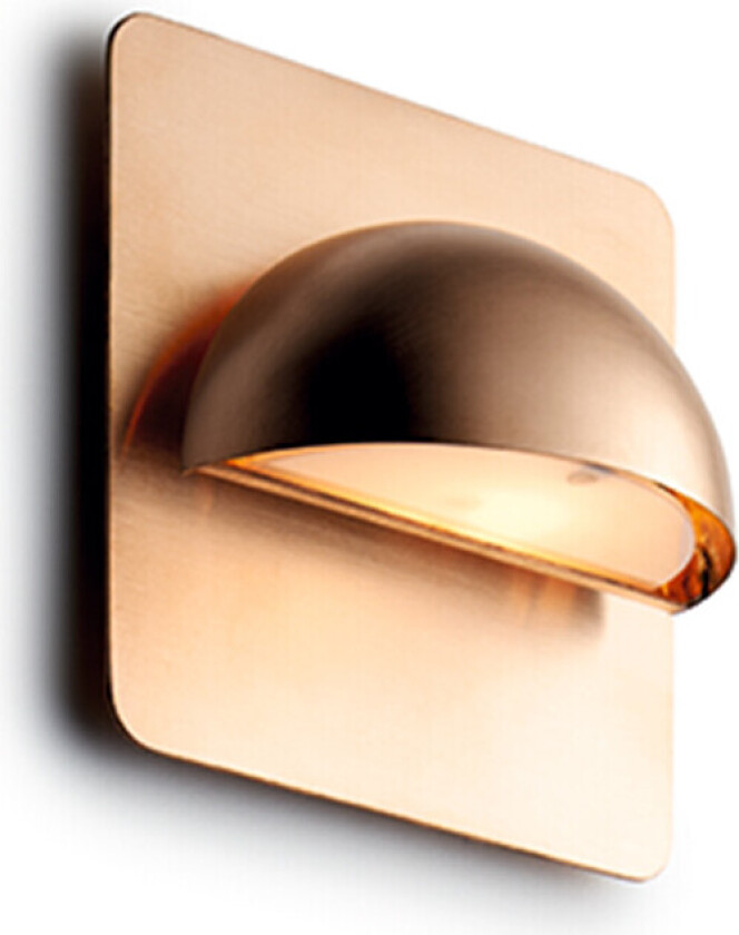 LIGHT-POINT - Rørhat LED Utendørs Vegglampe w/Backplate Rå Kobber LIGHT-POINT