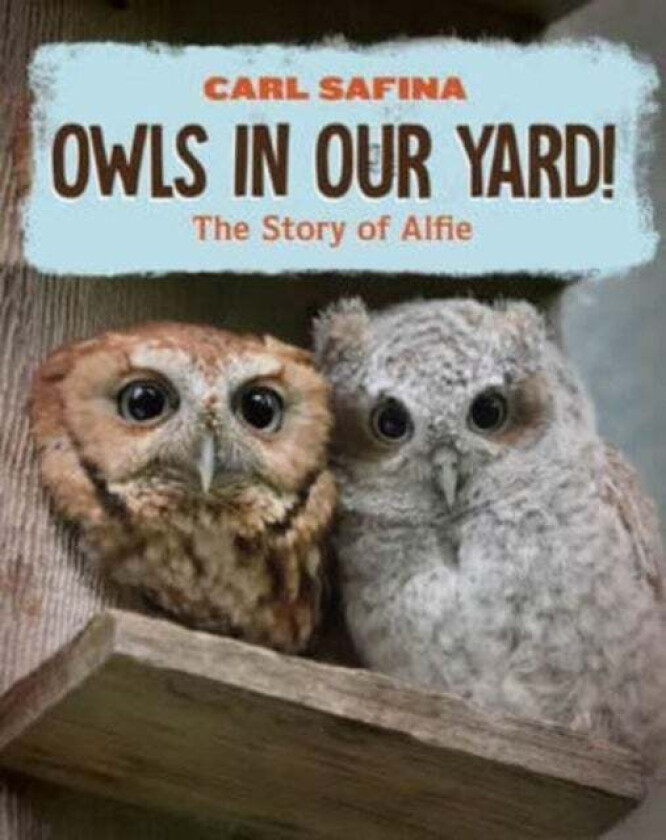 Owls in Our Yard! av Carl Safina