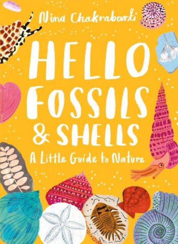 Little Guides to Nature: Hello Fossils and Shells av Nina Chakrabarti