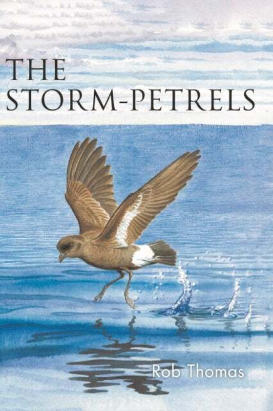 The Storm-petrels av Rob Thomas