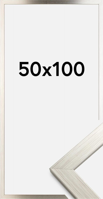 Ramme Silver Wood Akrylglass 50x100 Cm
