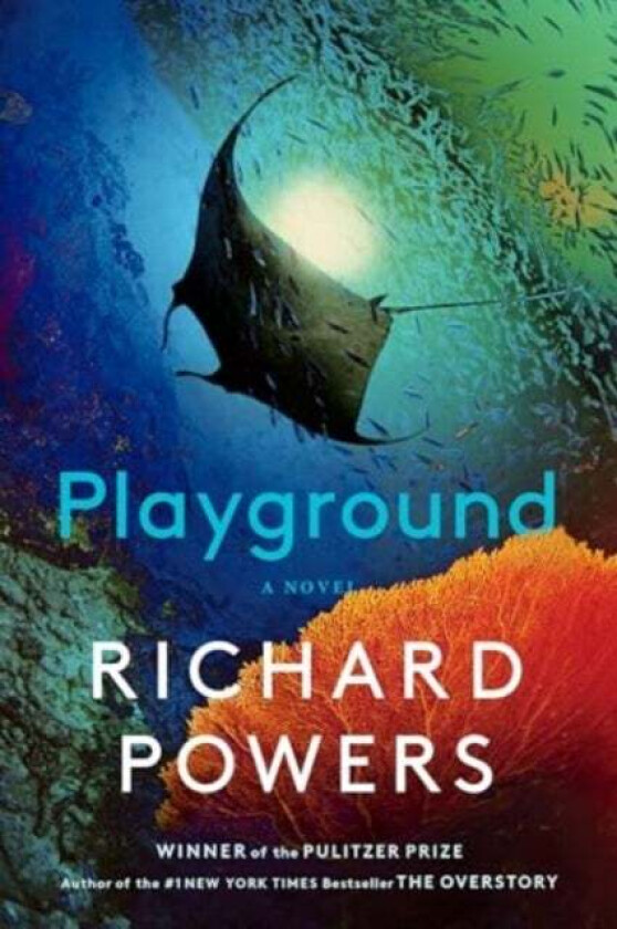 Playground av Richard Powers