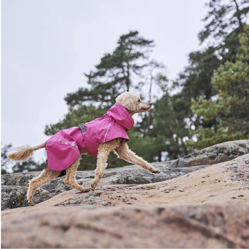 Monsoon II Eco Regnjakke til Hund Rosa (25)