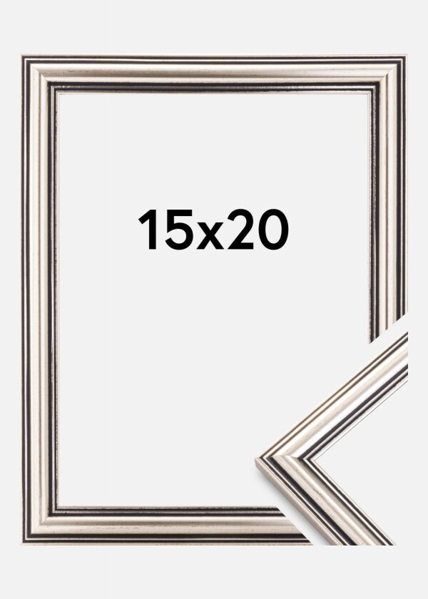 Focus Ramme Tango Sølv 15x20 Cm