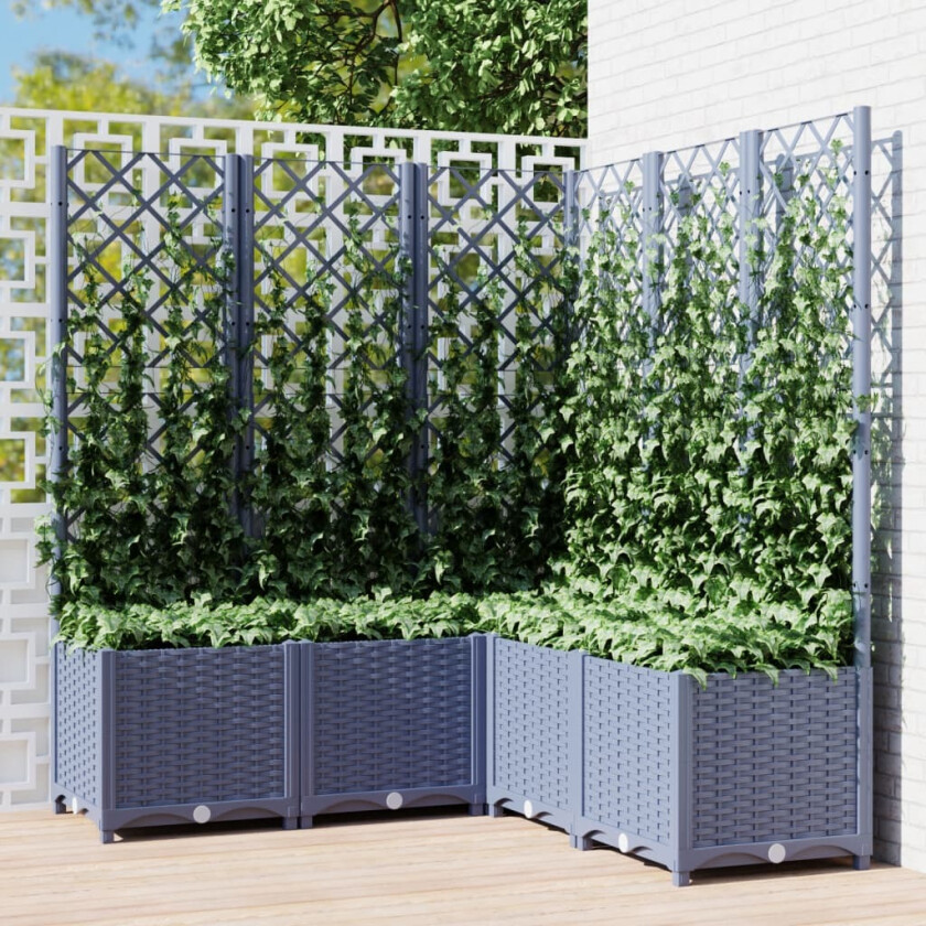 Plantekasse med espalier mørkegrå 120x120x136 cm PP