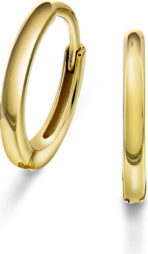 Bilde av , Øreringer i 925, forgylt sølv