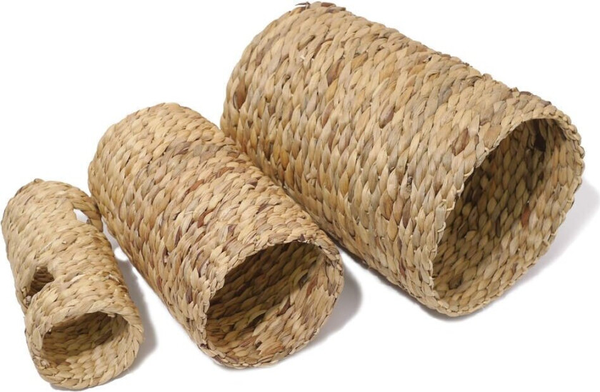 hyasinttunnel (L)
