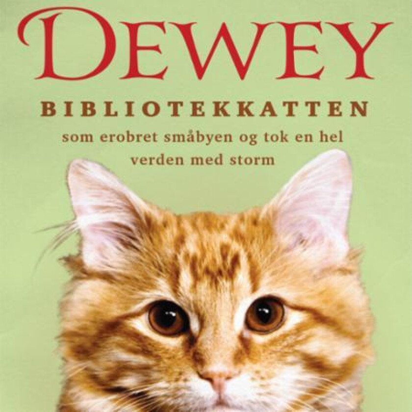 Dewey av Vicki Myron