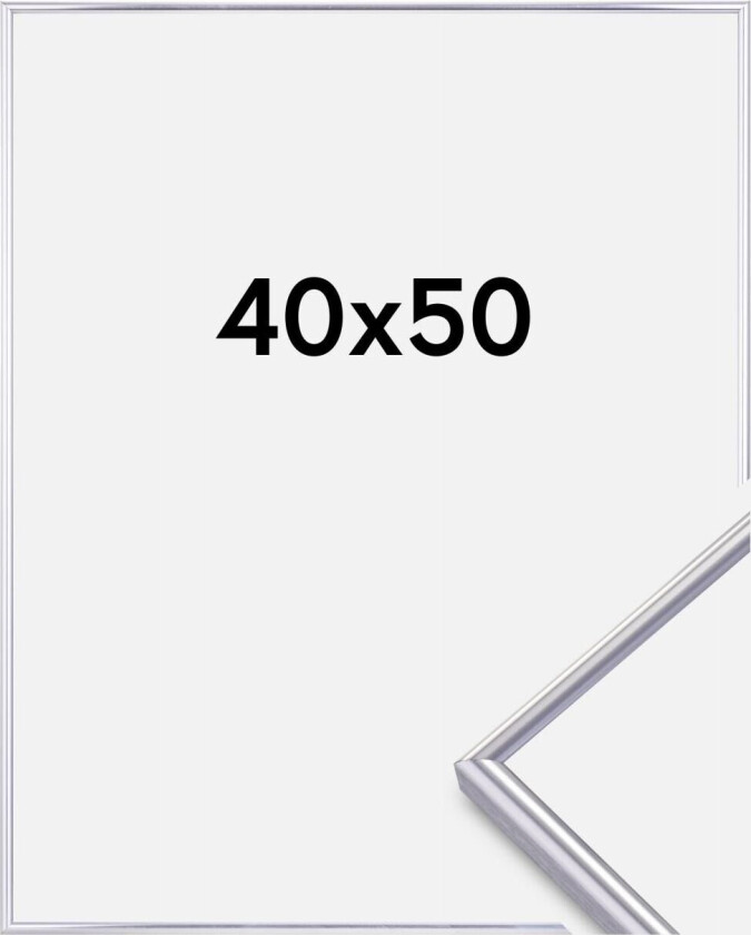 Bilde av Focus Ramme Can-Can Sølv 40x50 Cm