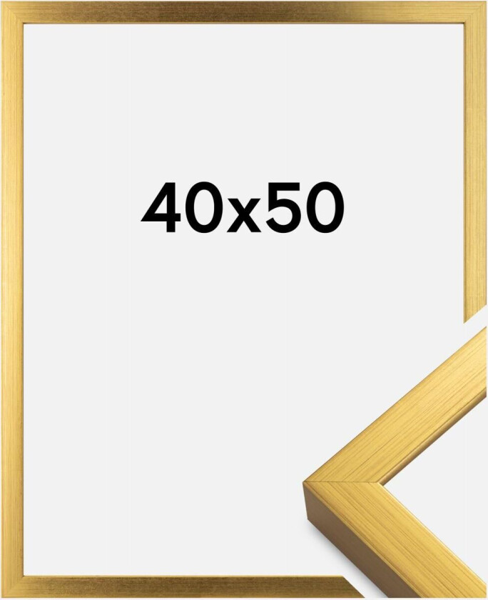 Ramme Falun Akrylglass Gull 40x50 Cm