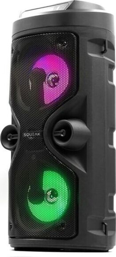 SQUEAK Harmony Bluetooth 5.0 karaokehøyttaler