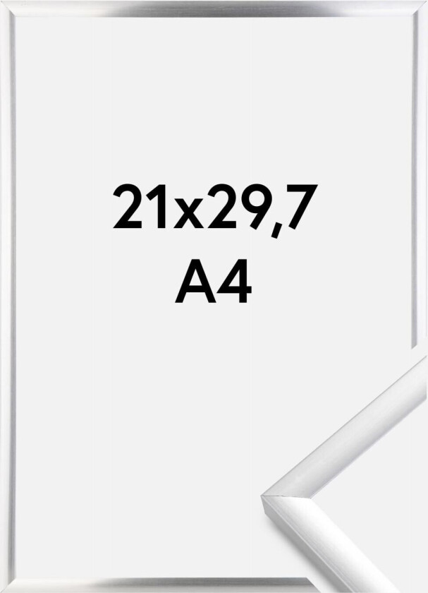 Ramme New Lifestyle Sølv 21x29,7 Cm (A4)