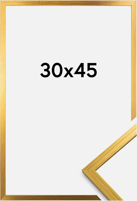 Ramme Edsbyn Akrylglass Gull 30x45 Cm