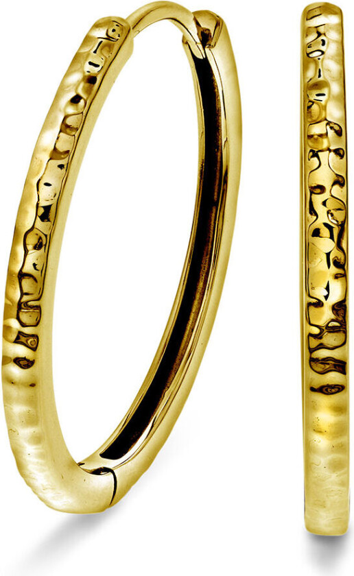 , Øreringer i forgylt sølv