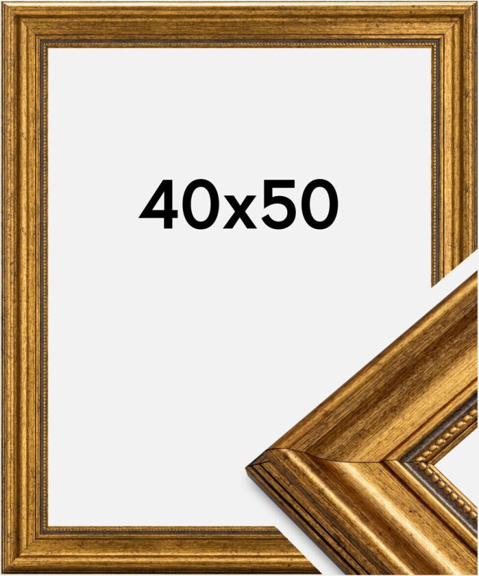 Ramme Rokoko Gull 40x50 Cm