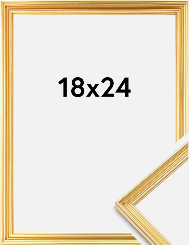 Focus Ramme Verona Gull 18x24 Cm