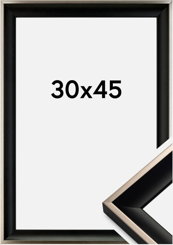 Ramme Öjaren Svart-Sølv 30x45 Cm